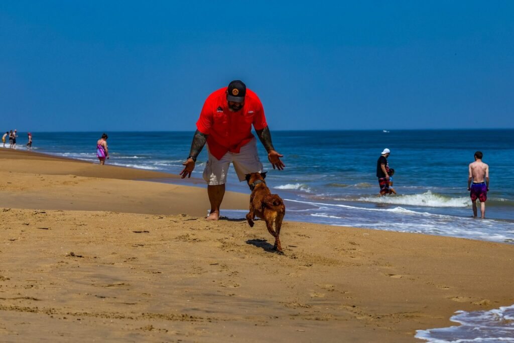 Dog training services in Virginia Beach